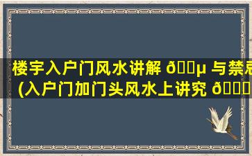 楼宇入户门风水讲解 🐵 与禁忌(入户门加门头风水上讲究 🐈 )